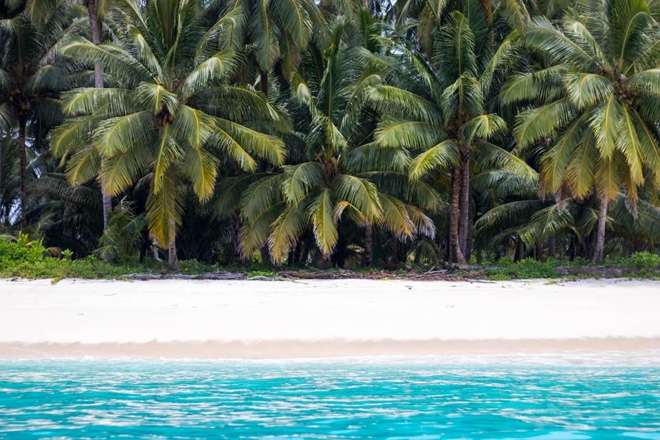 Mentawai Ebay Playground Surfcamp Villa Masokut Exterior foto